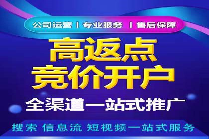 百度SEO优化公司案例详解：如何制定有效的推广计划